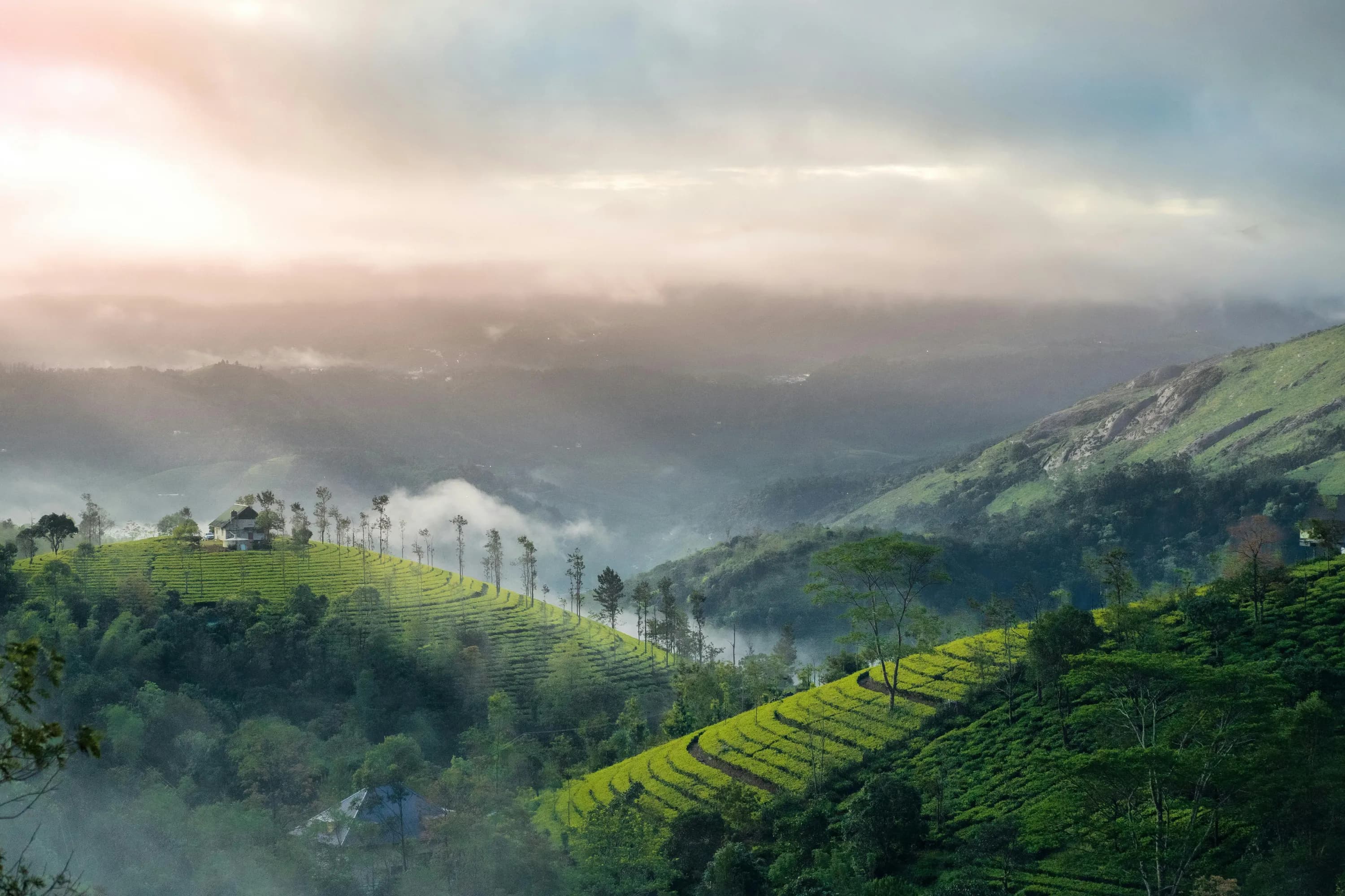 Kerala Honeymoon Tour – 6 Days thumbnail 15