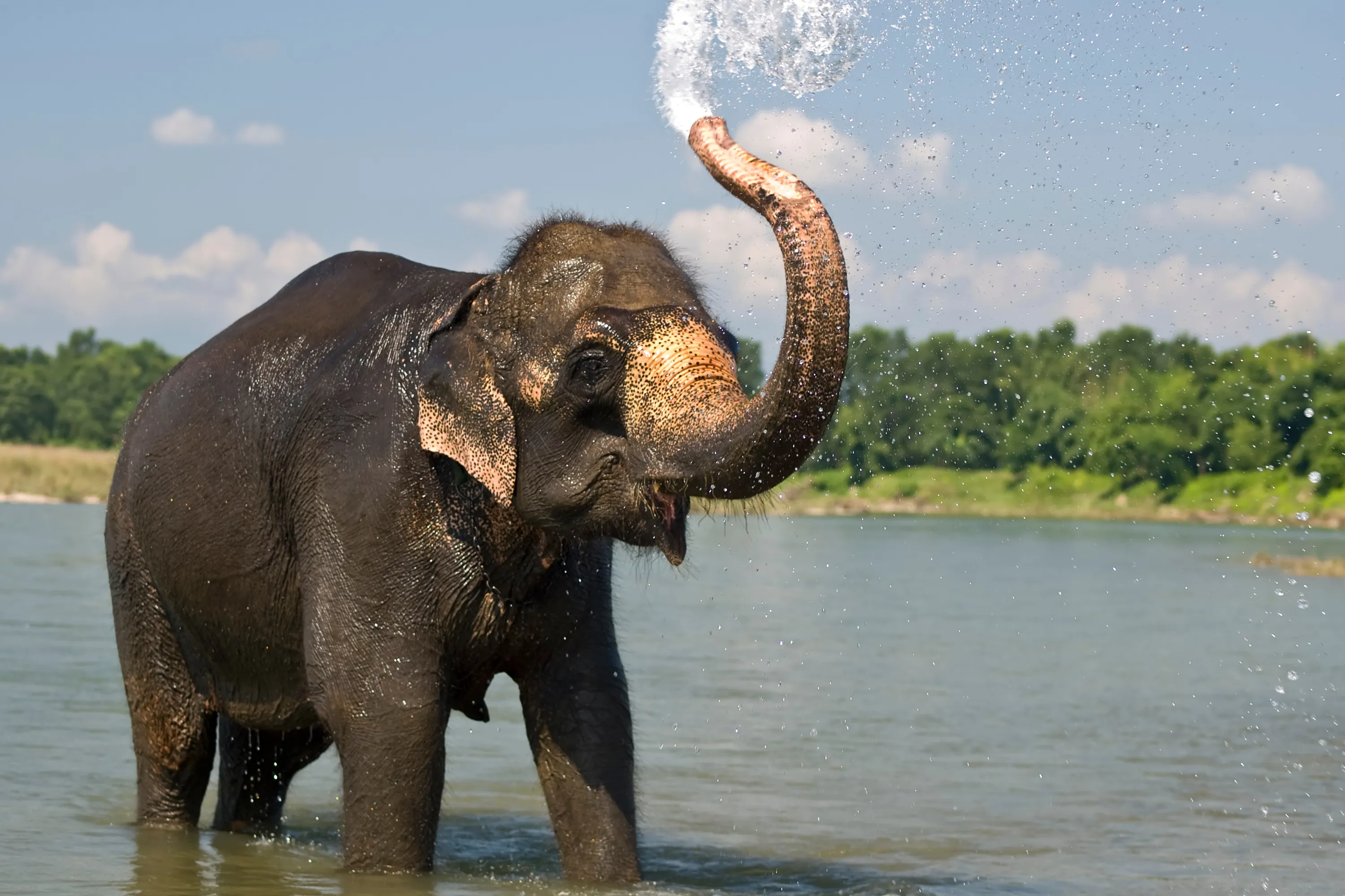 Kerala Honeymoon Tour – 6 Days - Luxury Tours India - Image 4