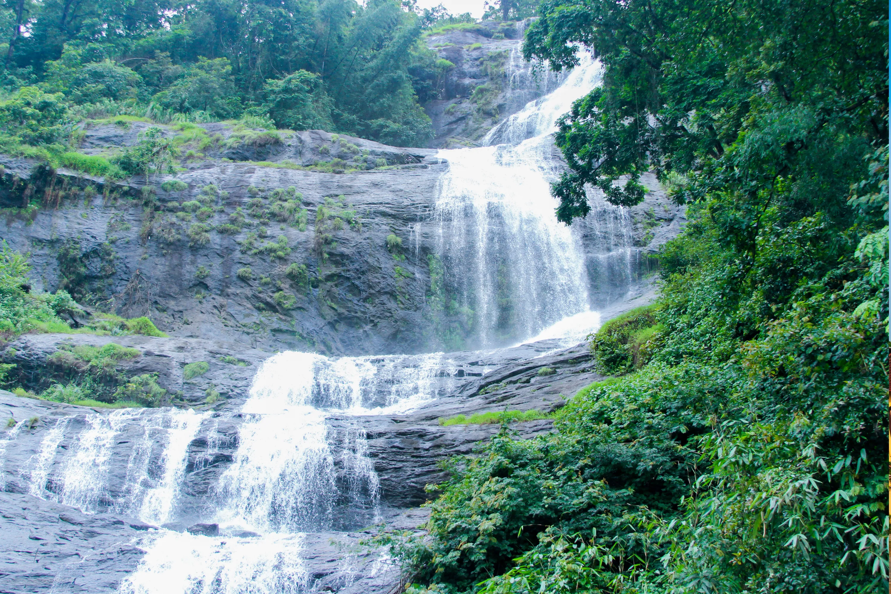 Kerala Honeymoon Tour – 6 Days - Luxury Tours India - Image 14