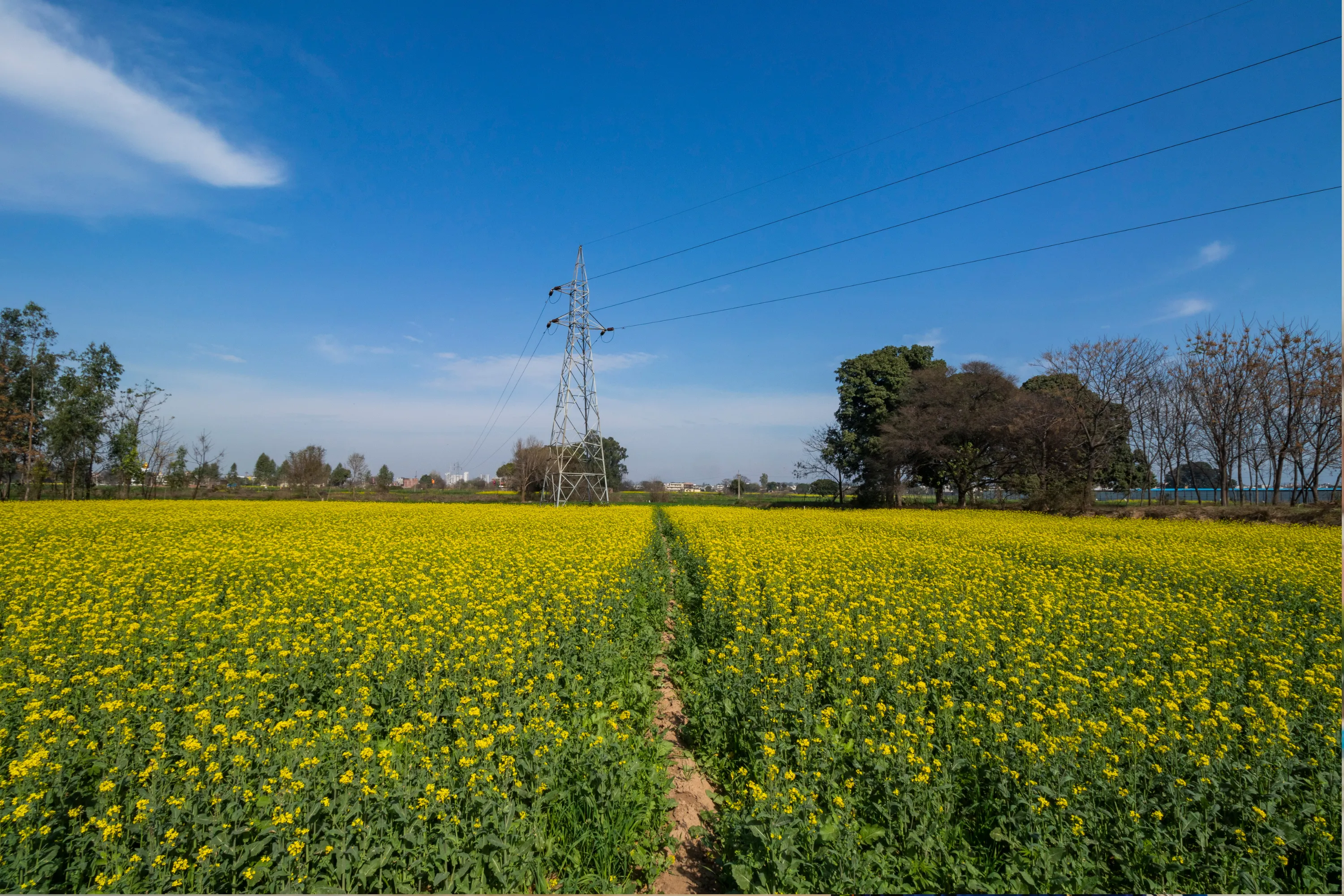 Amritsar & Punjab Heritage Tour – 4 Days - Luxury Tours India - Image 9